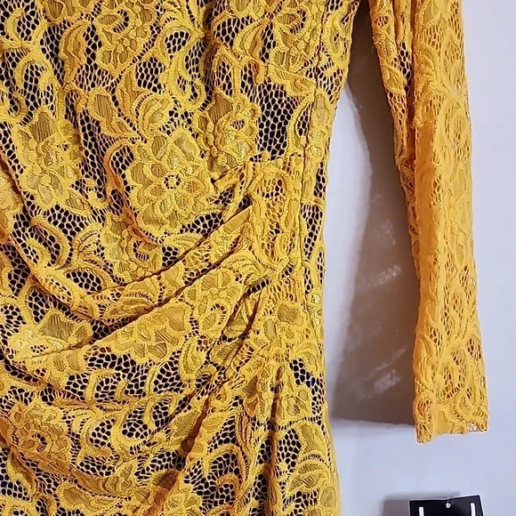 Kasper lace Overlay dress - Picture 7 of 10